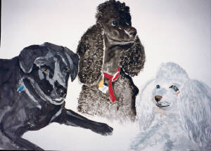 3-dogs2.jpg
