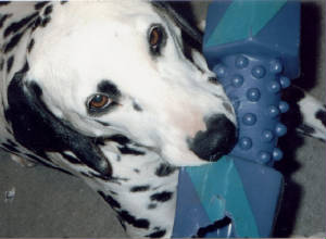 favoriteofstoli.jpg