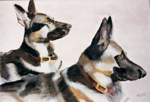 german-shepherds2.jpg
