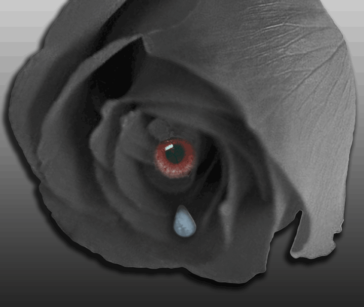rose-eye-tear-good.gif